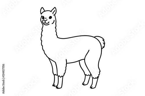 alpaca line art silhouette vector illustration