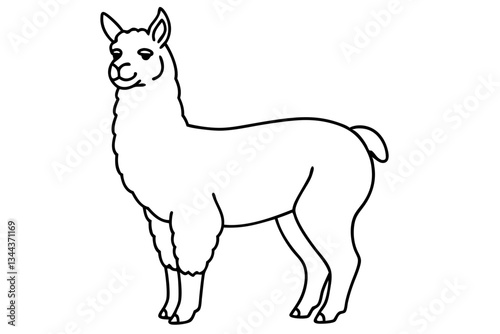 alpaca line art silhouette vector illustration