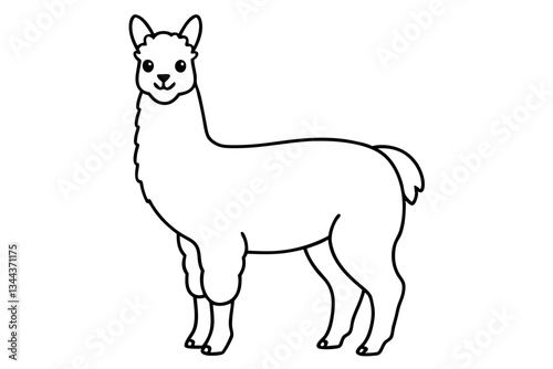 alpaca line art silhouette vector illustration