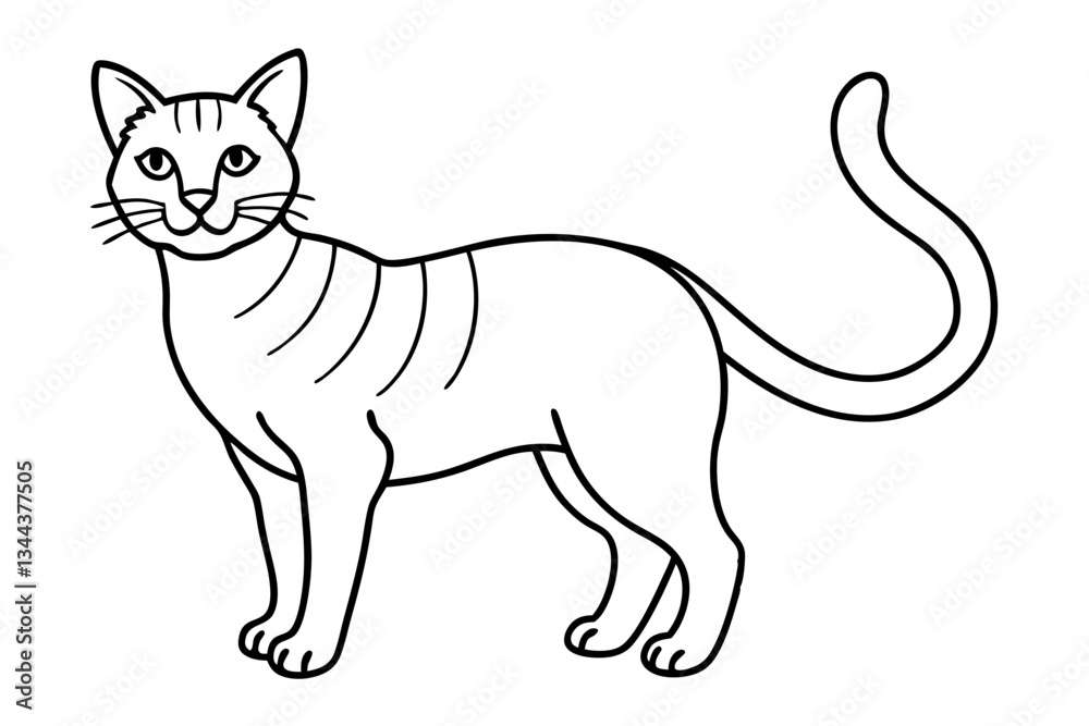 cat line art silhouette vector illustration cat line art silhouette vector illustration