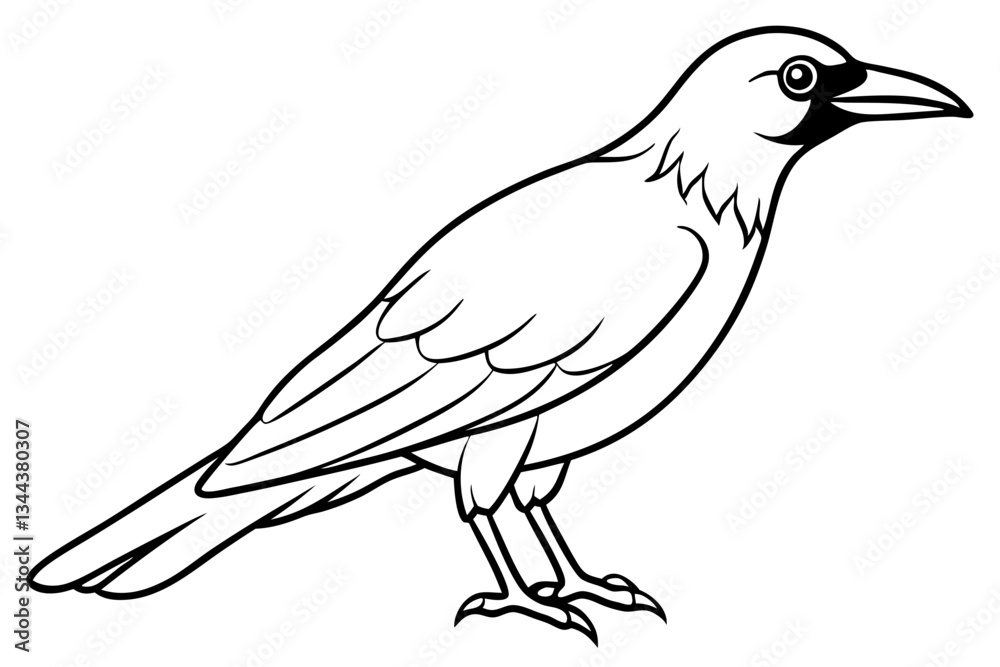 Obraz premium crow line art silhouette vector illustration