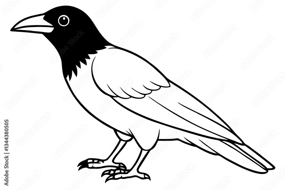 Obraz premium crow line art silhouette vector illustration