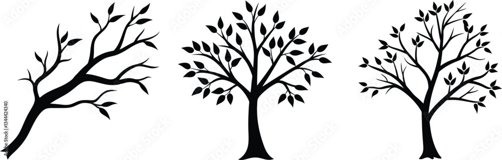 Obraz premium silhouette of a tree with roots