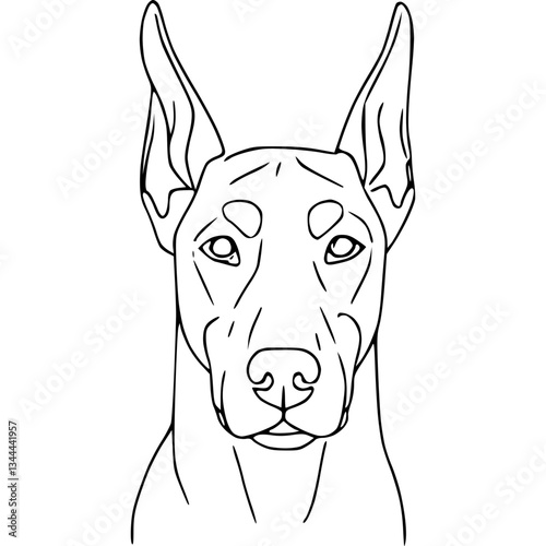 Doberman dog illustration line art features a Doberman's head with pointy ears and distinctive markings in a clean minimalist style suitable for various creative projects