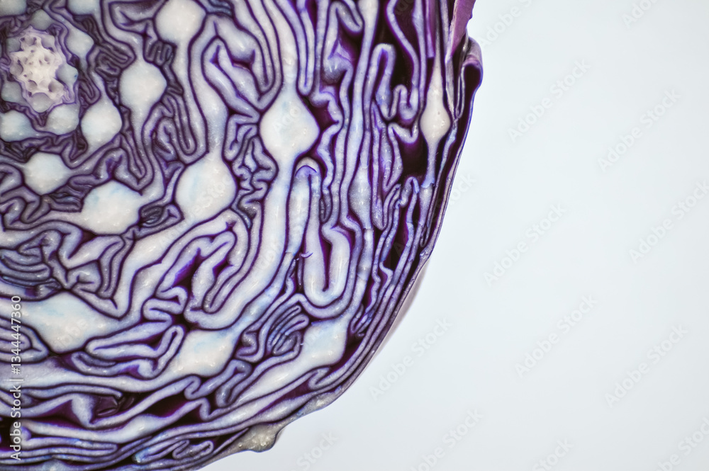 Obraz premium cabbage