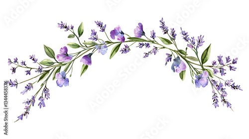 Watercolor lavender and violet flowers arched arrangement on white. Invitation art