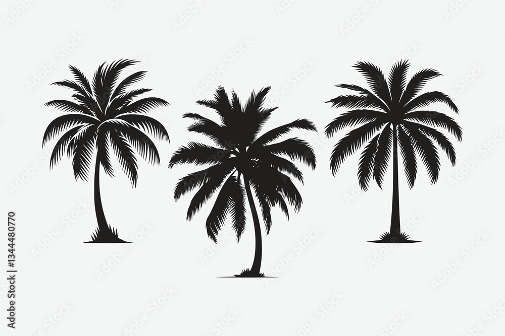 Fototapeta premium Set silhouettes of palm tree, coconut tree. Nature, environment concept. Vector illustration.
