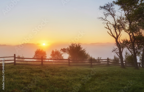 Fotografie Fresh green scene of mountain farmland with old country road
