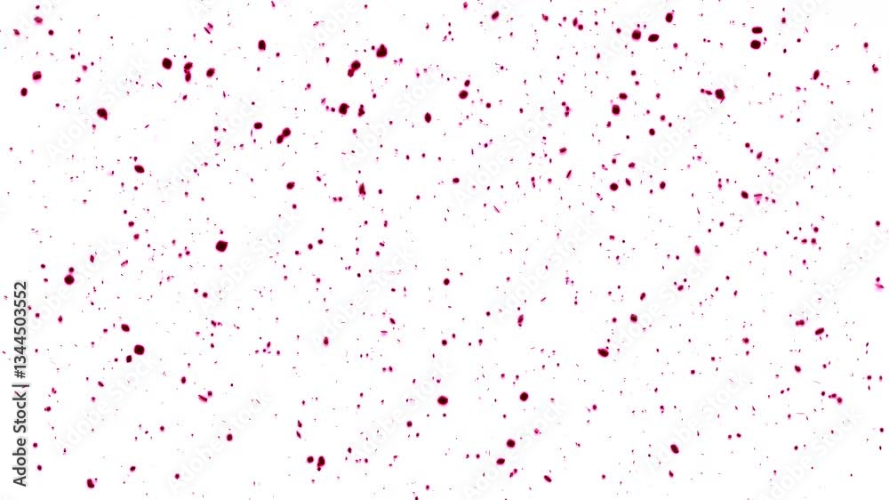 Rising black particles of dust, dust, on a white background, an abstraction. Rising black particles of dust, dust, on a white background, an abstraction.