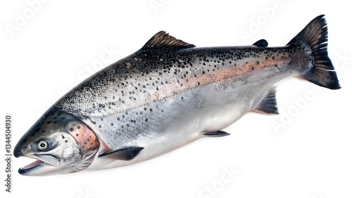 Fresh and Healthy Salmon Fish for Culinary Delights Sustainable Seafood for Delicious Recipes