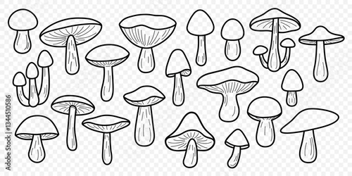 Wild Black and White Line Art Mushroom Vector Set. Flat Hand Drawn Forest Fungi Collection. Porcini, Bay Bolete, Birch Bolete, King Mushroom Icon Set. Cooking, Mycology, Botanical Illustration