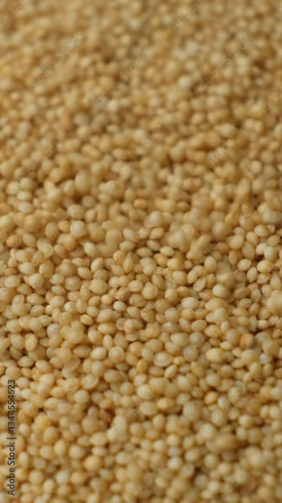Uncooked Amaranth Seeds Pour Slow Motion Vertical. Uncooked Amaranth Seeds Pour Slow Motion Vertical.