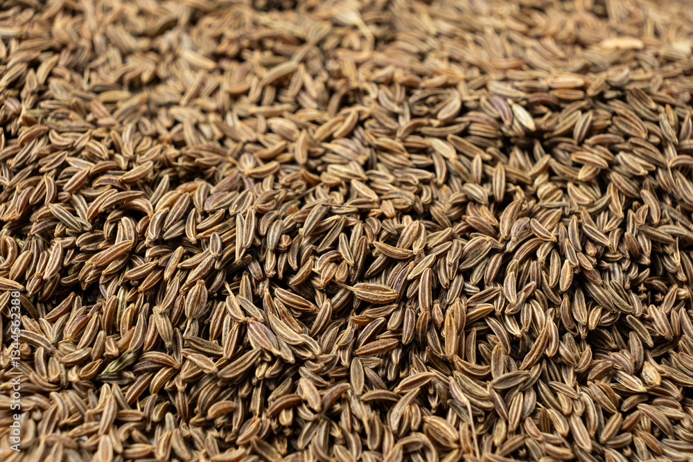 Dried Whole Cumin Traditional and Natural Spice Dried Whole Cumin Traditional and Natural Spice