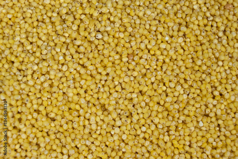 Whole millet grains top view macro