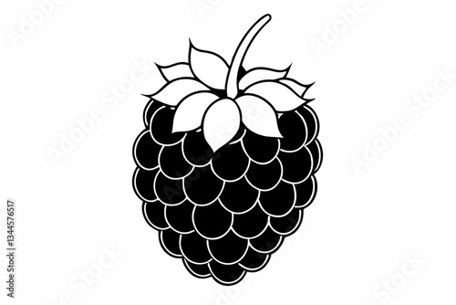 blackberry line art silhouette vector illustration