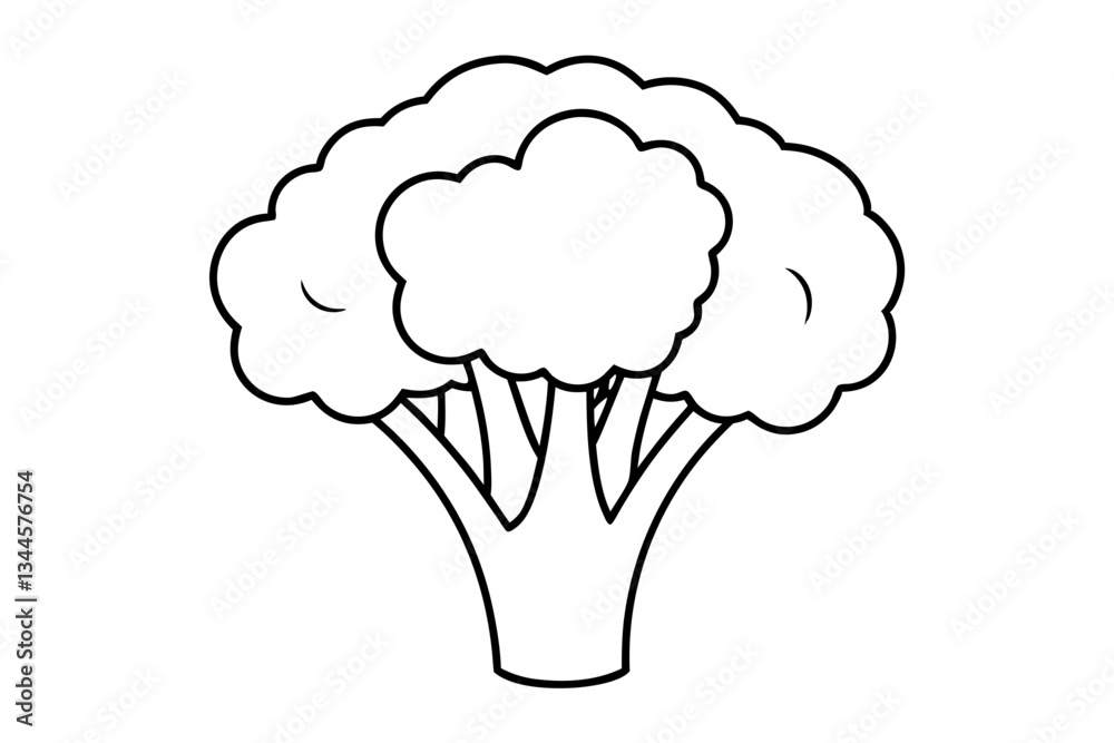 broccoli line art silhouette vector illustration broccoli line art silhouette vector illustration