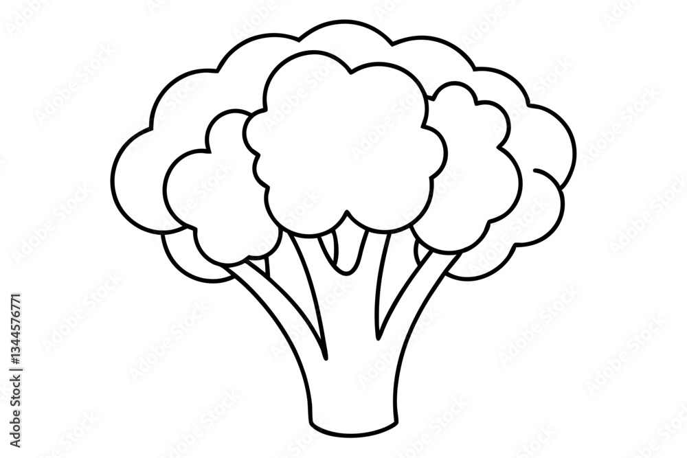 broccoli line art silhouette vector illustration broccoli line art silhouette vector illustration