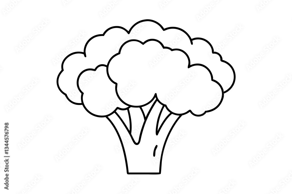 broccoli line art silhouette vector illustration broccoli line art silhouette vector illustration