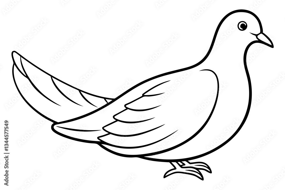 Fototapeta premium dove line art silhouette vector illustration