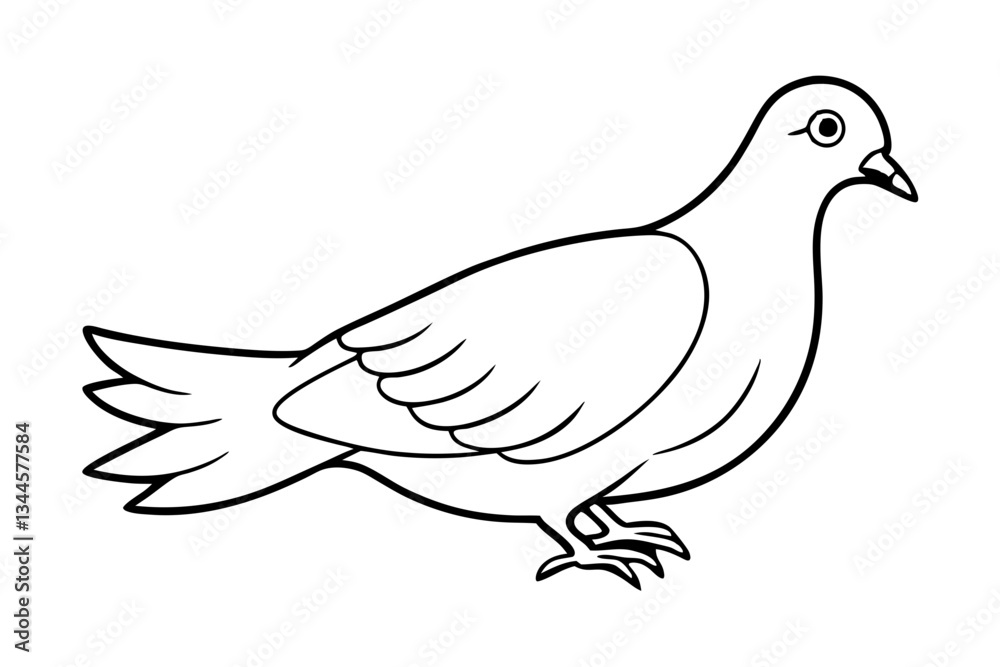 Obraz premium dove line art silhouette vector illustration
