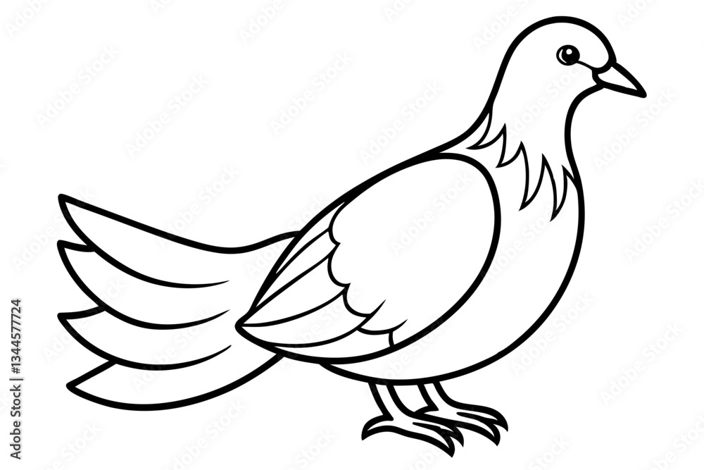 Obraz premium dove line art silhouette vector illustration