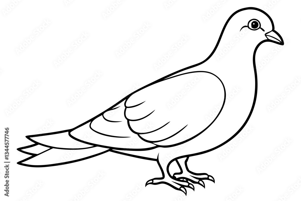 Fototapeta premium dove line art silhouette vector illustration