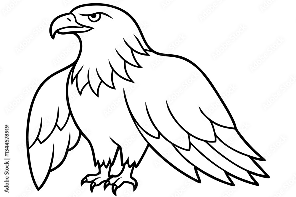 Fototapeta premium eagle line art silhouette vector illustration