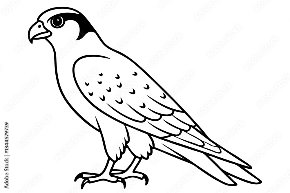Obraz premium falcon line art silhouette vector illustration