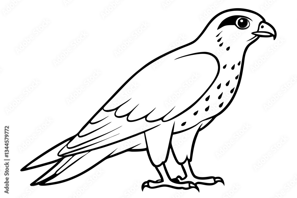 Fototapeta premium falcon line art silhouette vector illustration