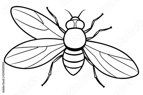 fly line art silhouette vector illustration