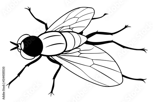 fly line art silhouette vector illustration