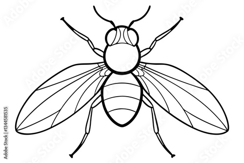 fly line art silhouette vector illustration