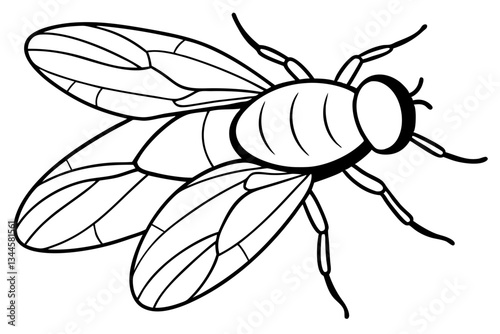 fly line art silhouette vector illustration