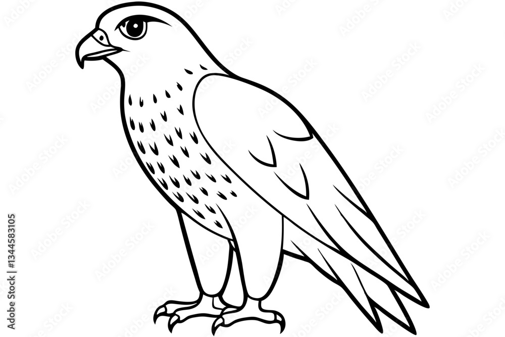 Fototapeta premium hawk line art silhouette vector illustration