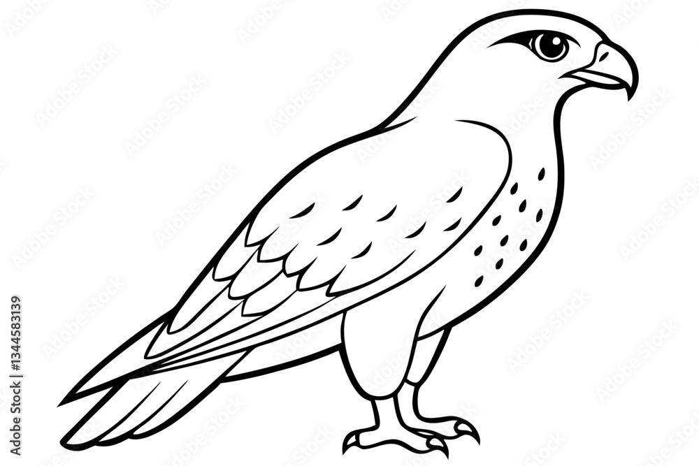 Obraz premium hawk line art silhouette vector illustration