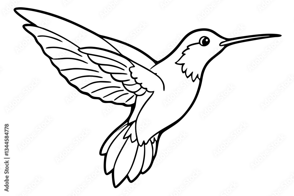 hummingbird line art silhouette vector illustration