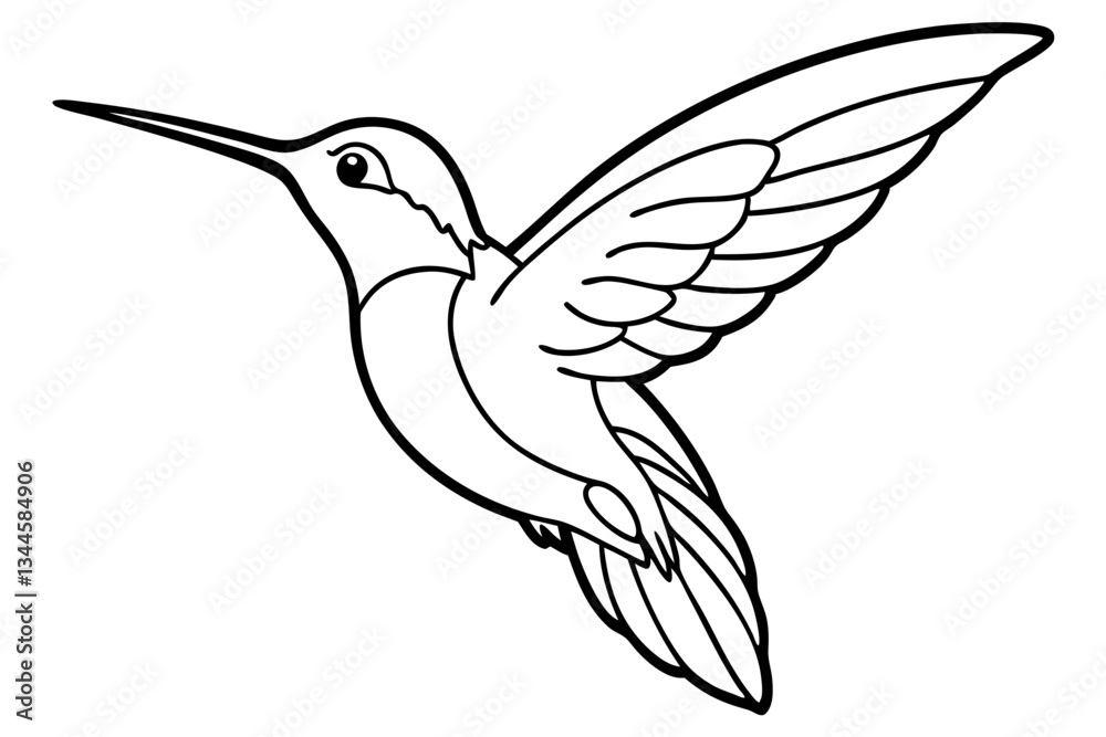 Fototapeta premium hummingbird line art silhouette vector illustration