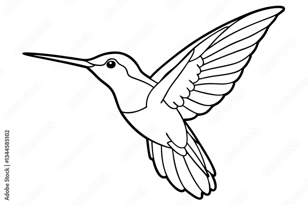 Obraz premium hummingbird line art silhouette vector illustration