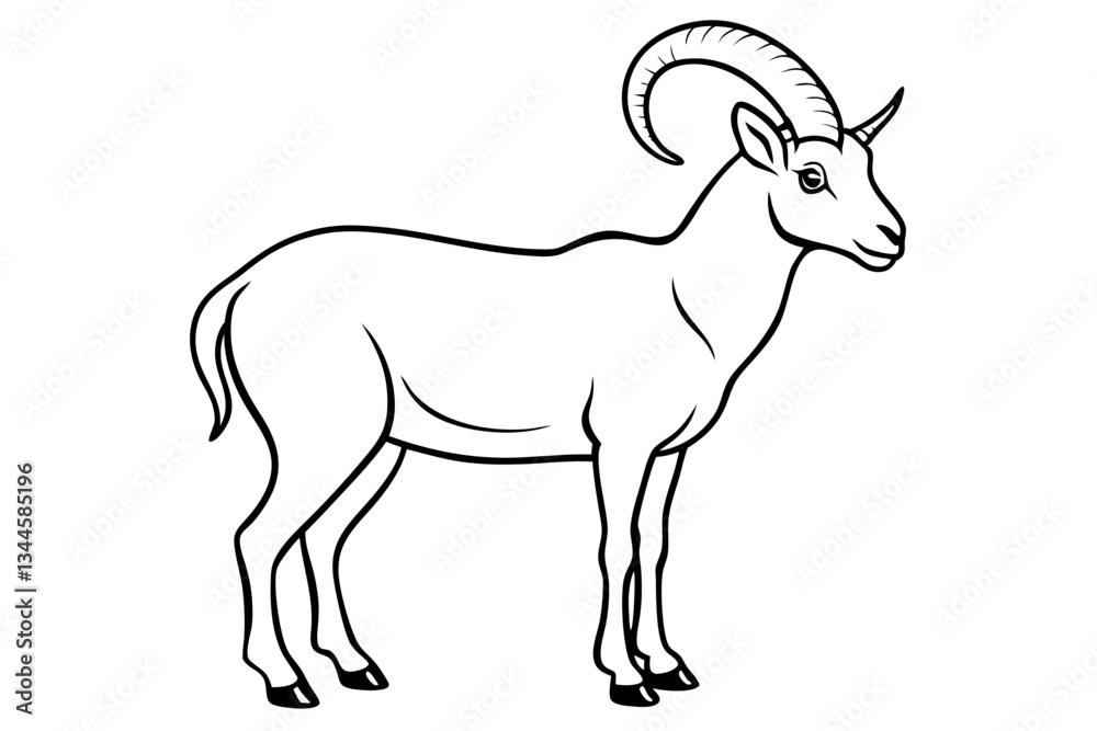 ibex line art silhouette vector illustration ibex line art silhouette vector illustration