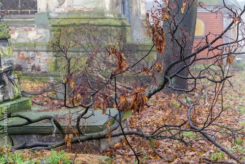 branches and a tree fallen on a grave. Greek Orthodox cemetery. Abandoned, overgrown, ruined cemetery in the fog. Crumbling tombstones, gravestones without names or surnames. Resting place of the dead photo