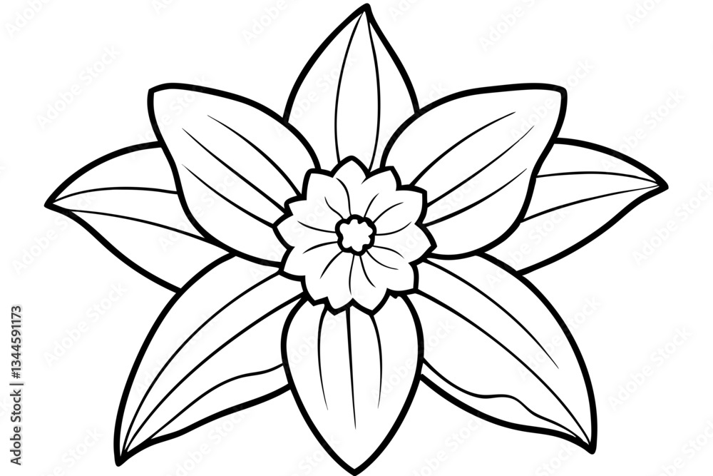 Fototapeta premium daffodil line art silhouette vector illustration