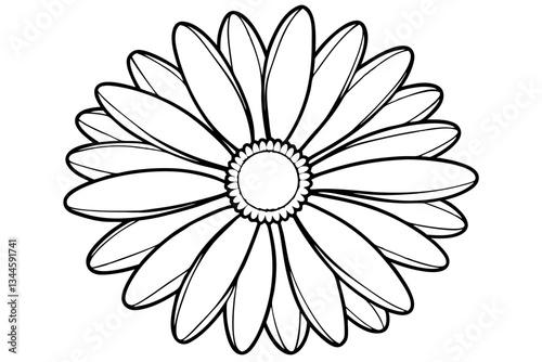 daisy line art silhouette vector illustration