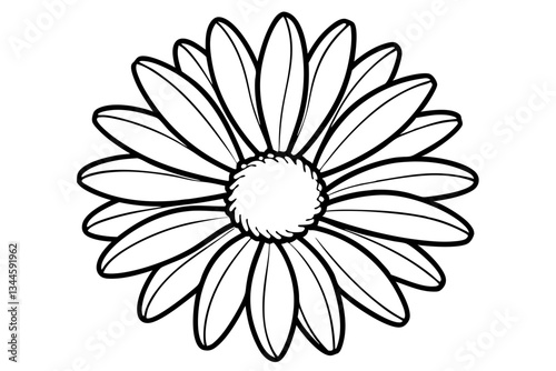 daisy line art silhouette vector illustration