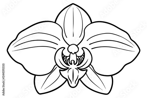 orchid line art silhouette vector illustration