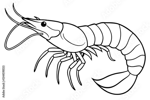 shrimp line art silhouette vector illustration