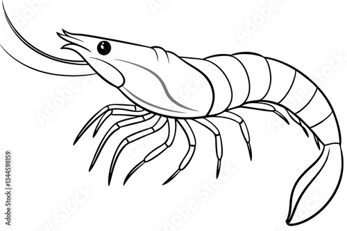 shrimp line art silhouette vector illustration