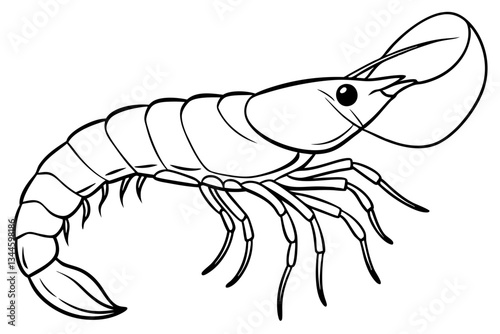 shrimp line art silhouette vector illustration