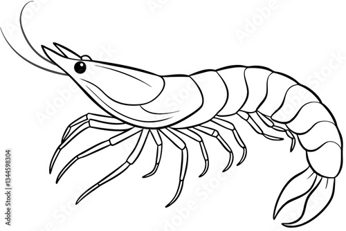 shrimp line art silhouette vector illustration