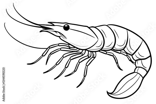 shrimp line art silhouette vector illustration