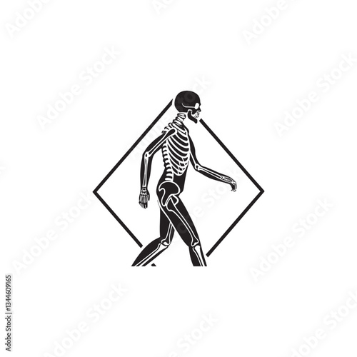 Anatomical-human-skeleton-in-simplified-silhouette style vector art.